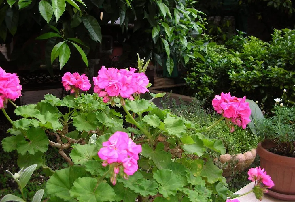 Gioia Bed&Breakfast-1